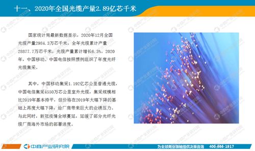 基礎(chǔ)電信業(yè)務(wù) 信息社會的基石與未來發(fā)展路徑